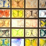 vlinders